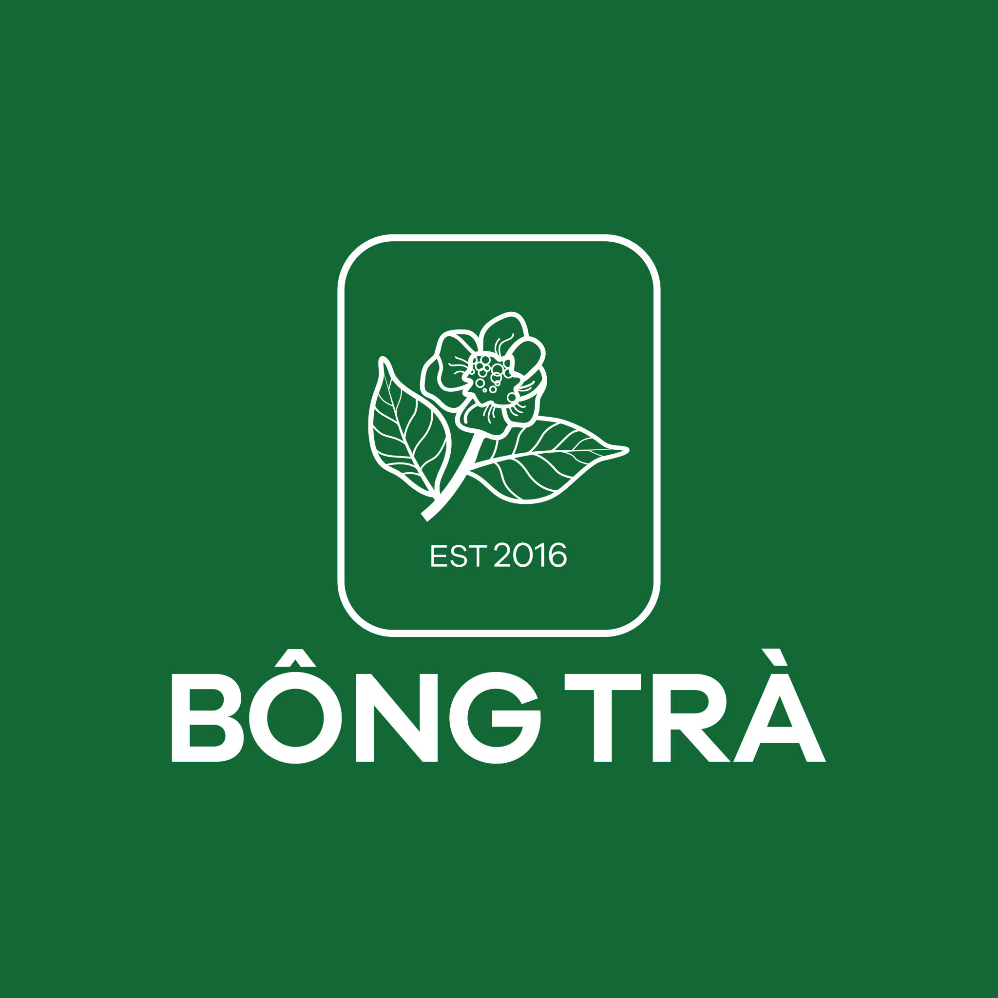 Bông Trà